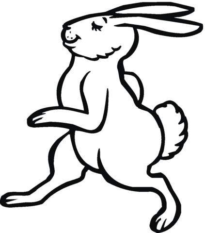 Hare Walks Illustration Coloring page