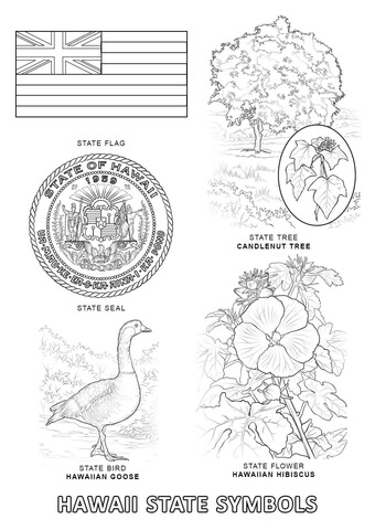 Hawaii State Symbols Coloring page
