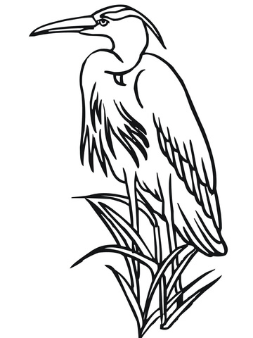 Heron in a Reed Coloring page