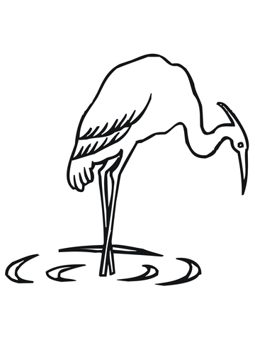 Heron Looking for Food Coloring page
