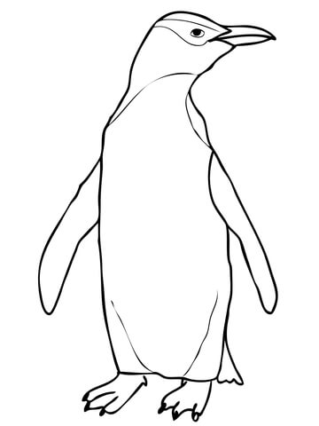 Hoiho Yellow Eyed Penguin Coloring page