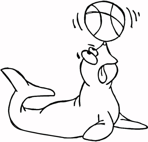 Seal Holding the Ball  Coloring page