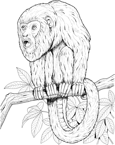 Howler Monkey on a Tree Coloring page