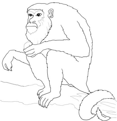 Howler Monkey Sits on Tree Coloring page