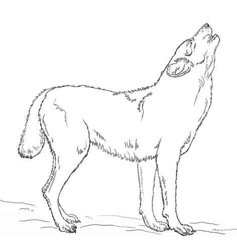 Howling Wolf Coloring page