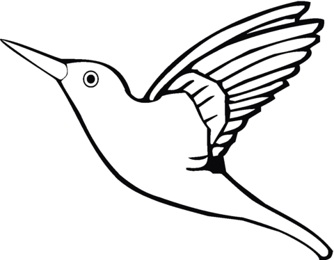Flying Hummingbird Coloring page