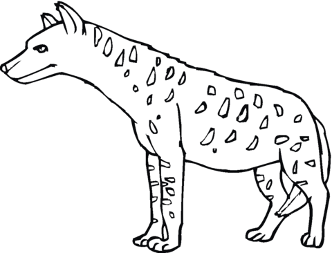 Spotted Hyena or Tiger Wolf Coloring page