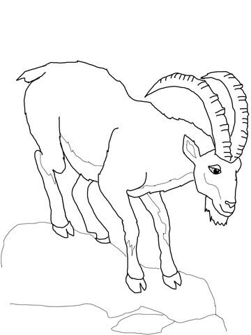 Ibex Coloring page