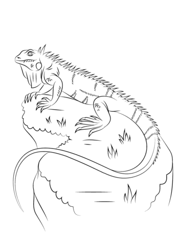 Iguana Coloring page