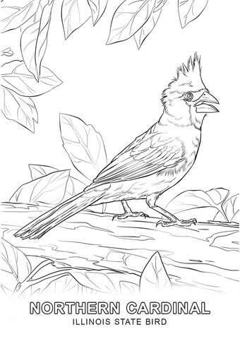 Illinois State Bird Coloring page