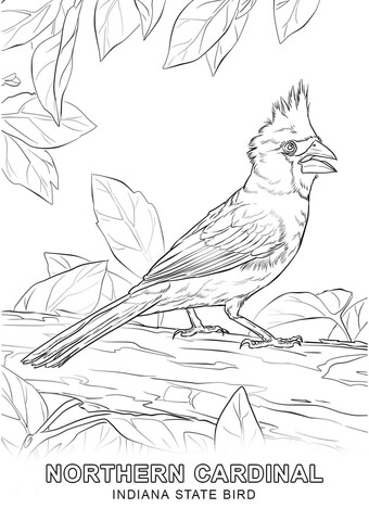 Indiana State Bird Coloring page