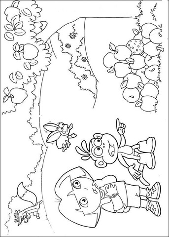 Apples  Coloring page