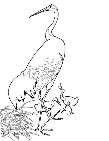 Japanese Red Crowned Crane by Ohara Koson Coloring page
