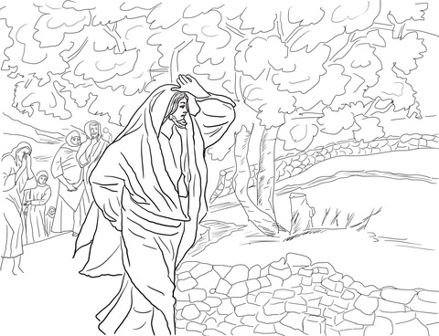 Jesus Curses the Fig Tree Coloring page