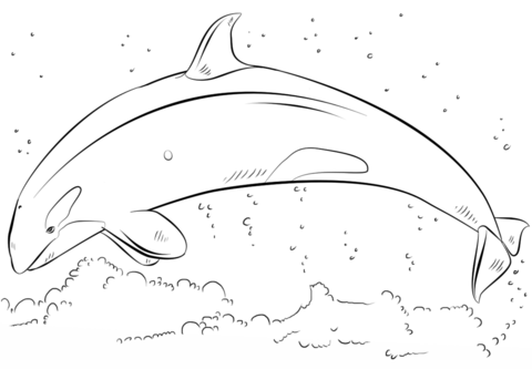 Jumping Orca Coloring page