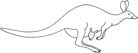 Kangaroo Jumps With Its Kid Coloring page