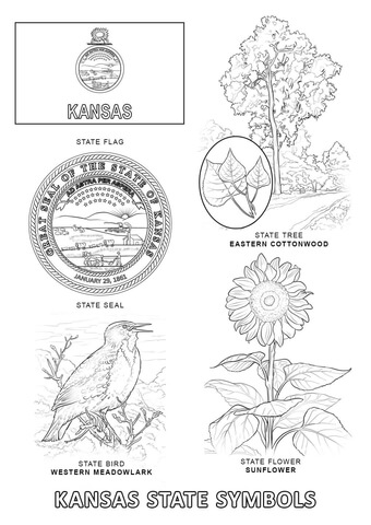 Kansas State Symbols Coloring page