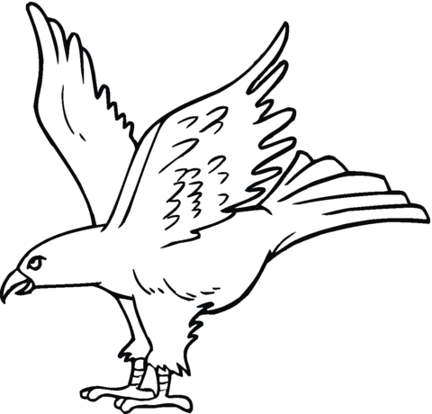 Kite 1 Coloring page