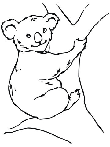 Koala Bear Coloring page