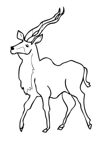 Kudu Coloring page