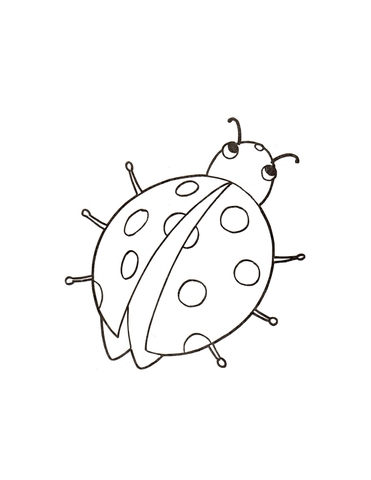 Little Ladybird Coloring page