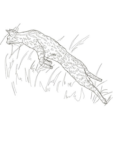 Leaping Serval Coloring page