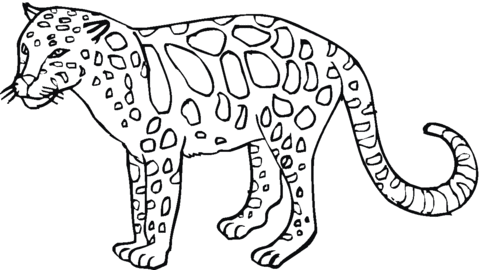 Leopard 27 Coloring page