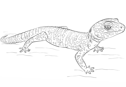 Leopard Gecko Coloring page