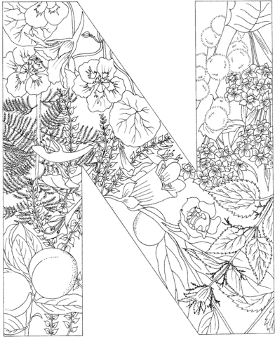 Letter N Coloring page