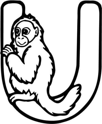 Letter U is for Uakari Monkey Coloring page
