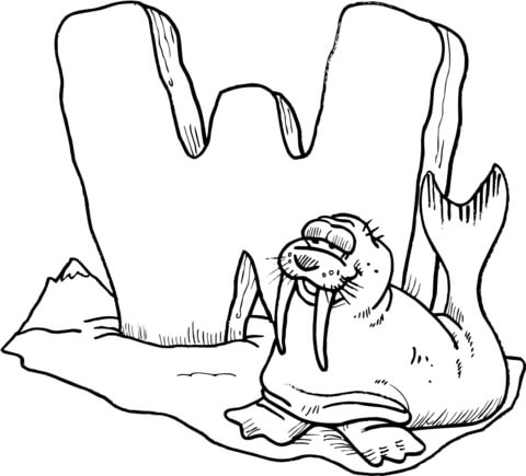 Letter W is for Walrus  Coloring page