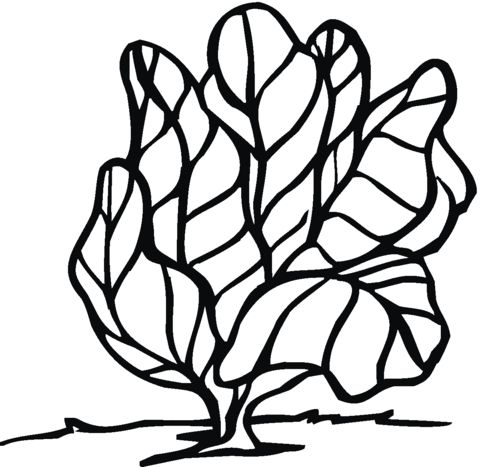 Lettuce 10 Coloring page