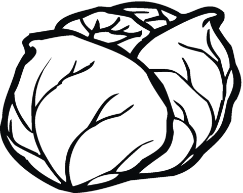 Lettuce 13 Coloring page