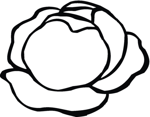 Lettuce 5 Coloring page