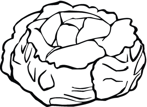 Lettuce 7 Coloring page
