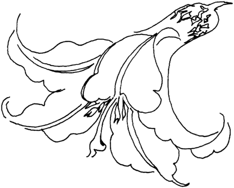 Lily 10 Coloring page
