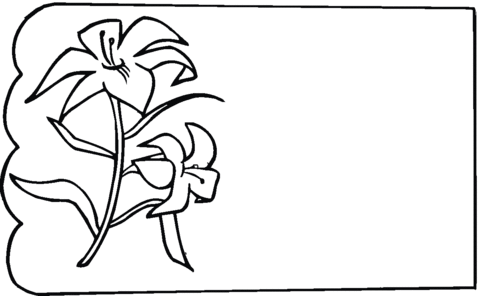 Lily Coloring page