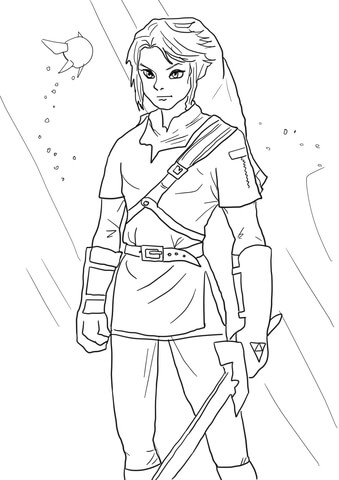 Link from Legend of Zelda Coloring page