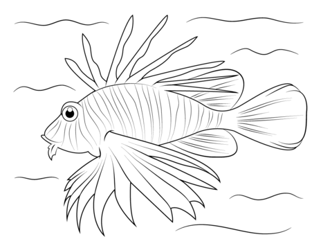 Lionfish Coloring page