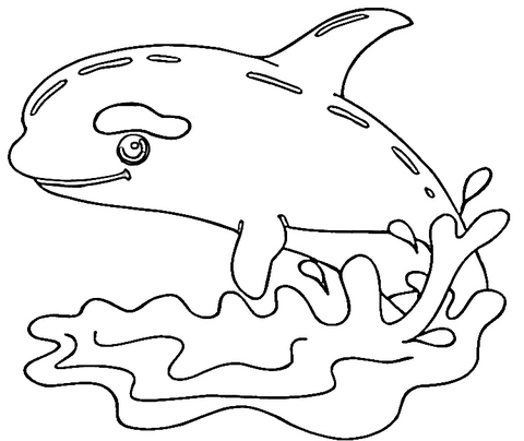 Little Killer Whale Coloring page