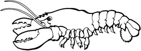 Lobster 1 Coloring page