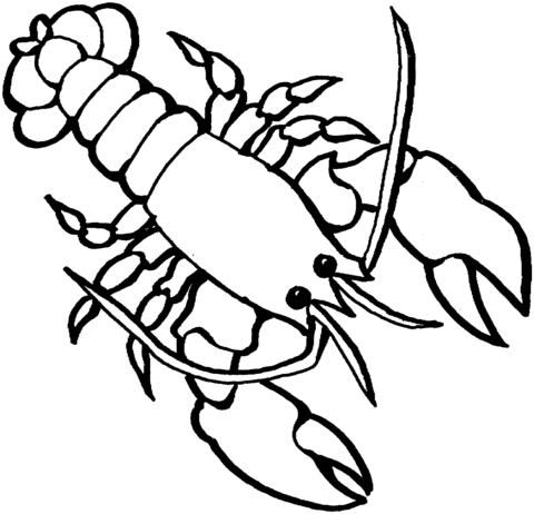 Lobster 2 Coloring page