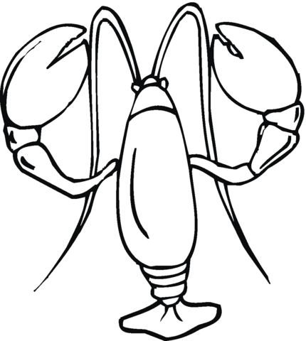 Lobster with big claws Coloring page