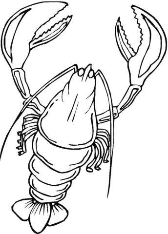 Lobster  Coloring page