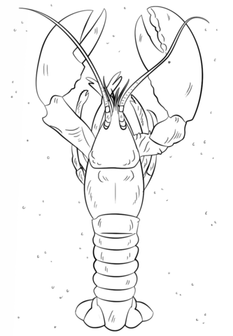 Lobster Coloring page