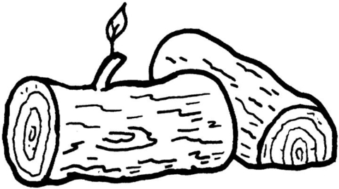 Logs  Coloring page