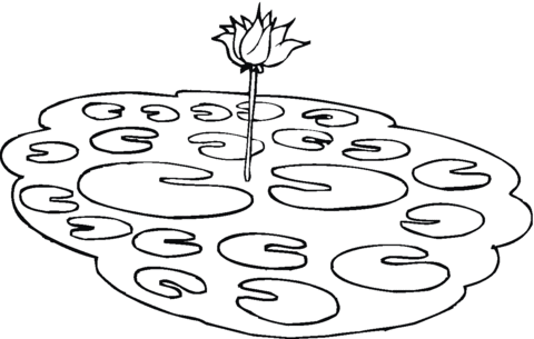 Lotus in a pond Coloring page