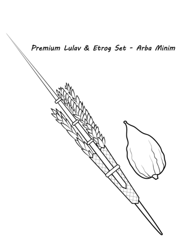 Lulav and Etrog Coloring page