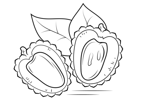 Lychee cross section Coloring page