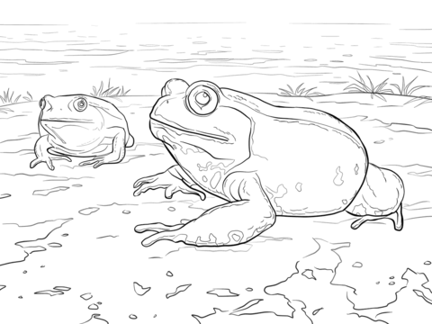Madagascar Tomato Frog Coloring page